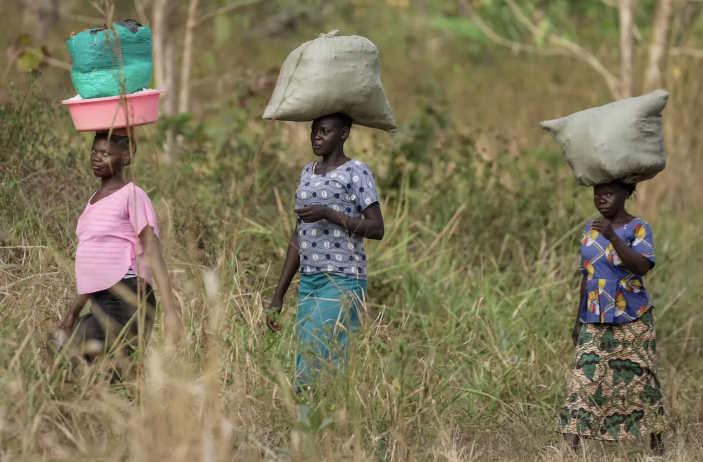 Sudan Rume: A Legacy from the Cradle of Arabica -and a Fragile Reality
