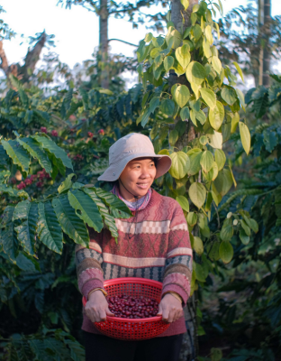 Chị 